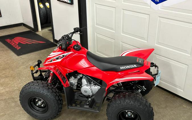 2026 Honda TRX90X