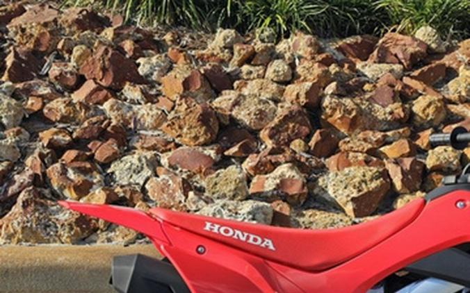 2026 Honda CRF 110F