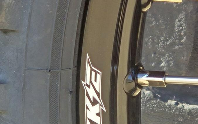 2025 GASGAS EX 350F