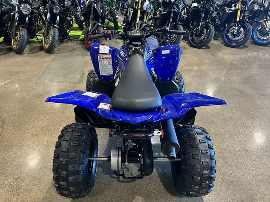 2026 Yamaha Raptor 110