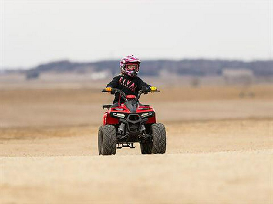 2025 Tao Motor MudHawk 6