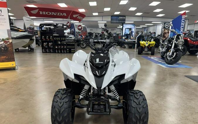 2026 Kawasaki KFX50