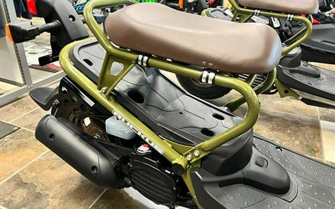 2024 Honda Ruckus