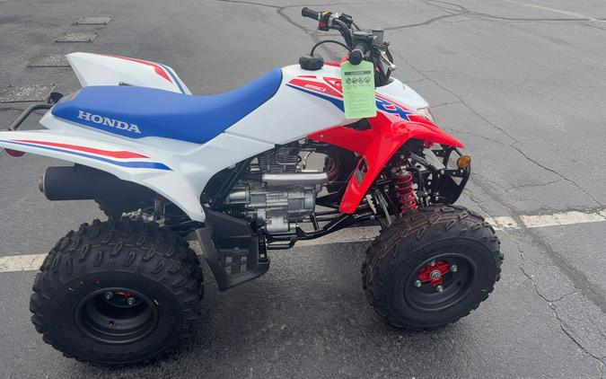 2026 Honda® TRX250X