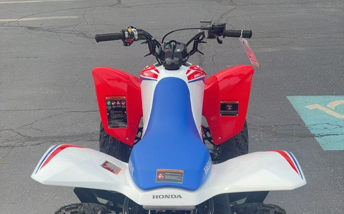 2026 Honda® TRX250X