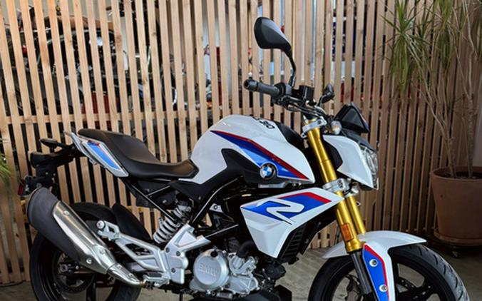2019 BMW G 310 R
