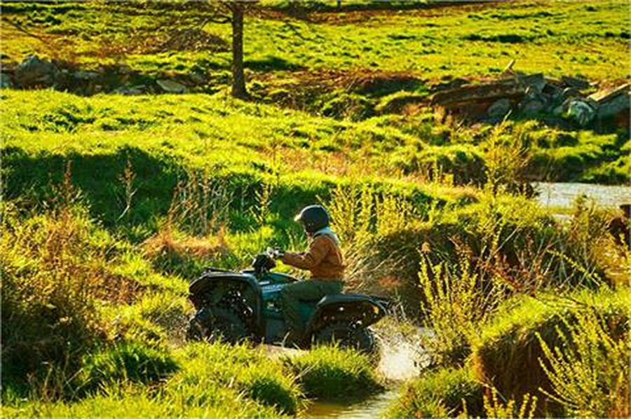 2017 Yamaha Grizzly EPS