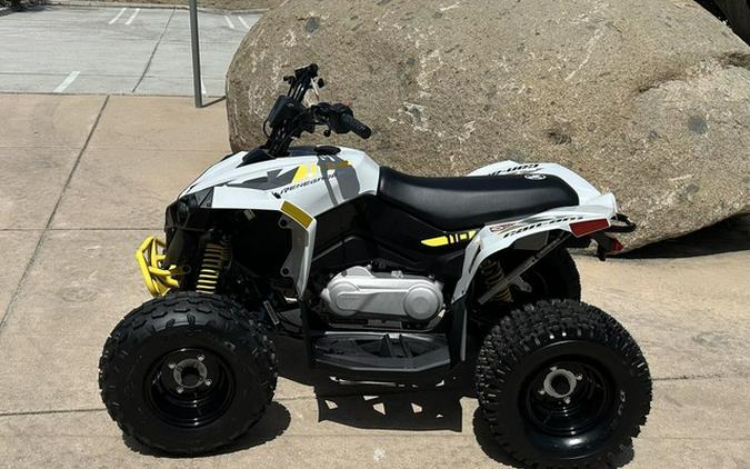 2026 Can-Am Renegade 110 EFI