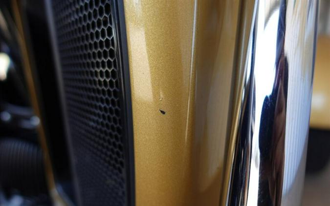 2017 Harley-Davidson Tri Glide