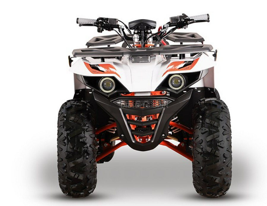 2026 Bull 125 EFI - Kayo