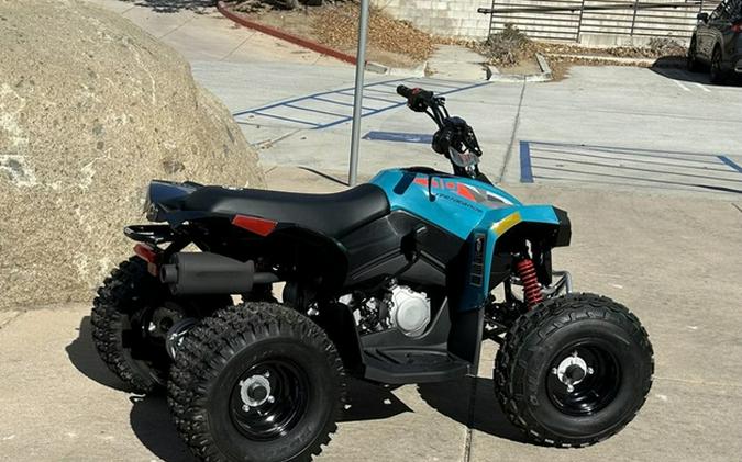 2026 Can-Am Renegade 110 EFI