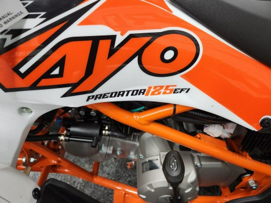 2026 Kayo PREDATOR 125 EFI