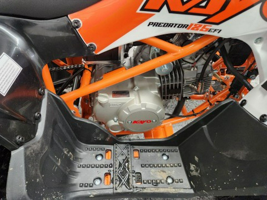 2026 Kayo PREDATOR 125 EFI