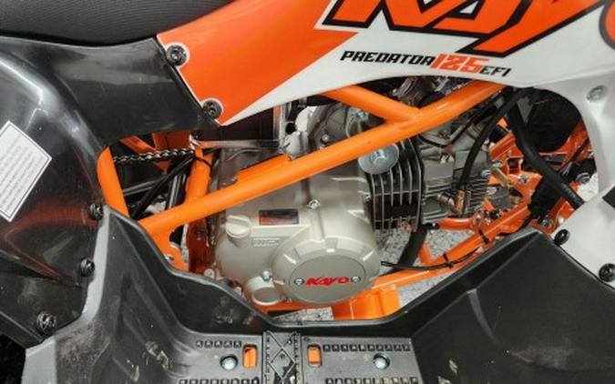 2026 Kayo PREDATOR 125 EFI
