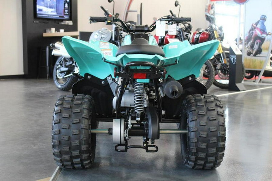 2024 Yamaha Raptor 110