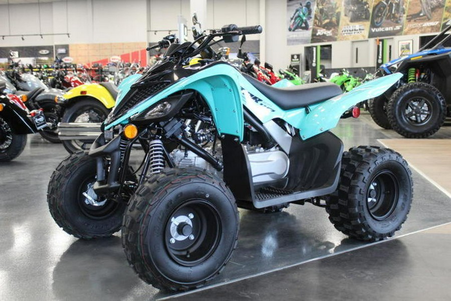 2024 Yamaha Raptor 110