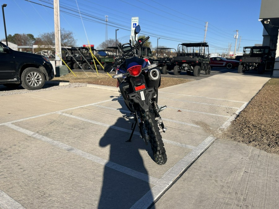 2025 HONDA CRF300L RALLY - 5401614