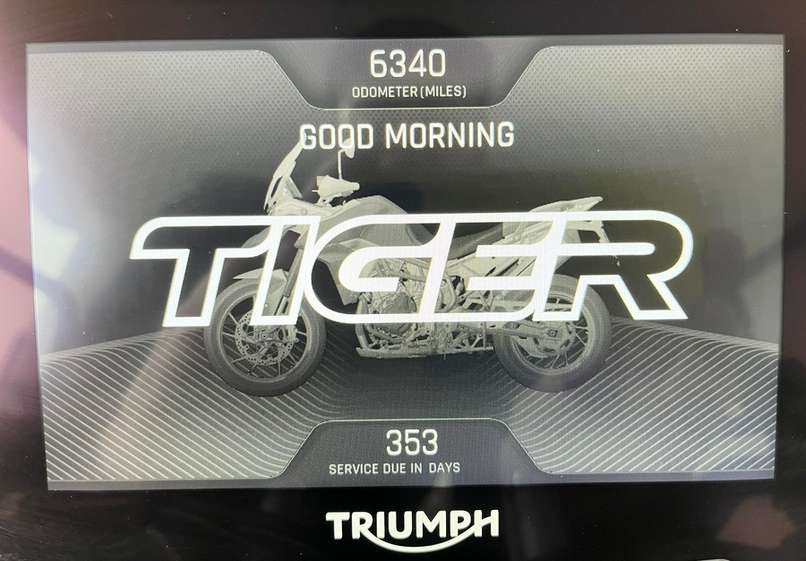 2023 Triumph TIGER 900 GT PRO