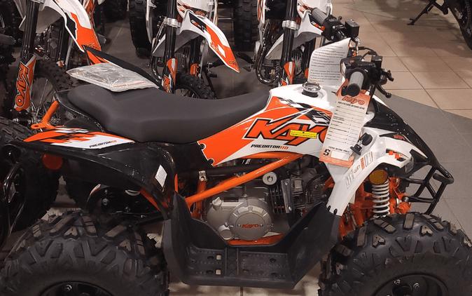 2026 KAYO PREDATOR 110