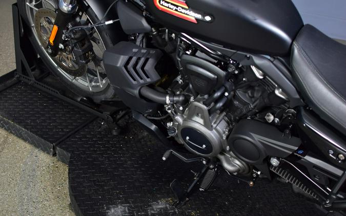 2024 Harley-Davidson Nightster Special