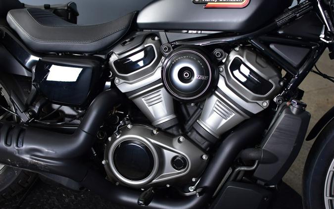 2024 Harley-Davidson Nightster Special