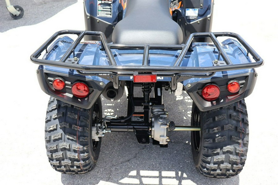 2026 Kawasaki Brute Force 300