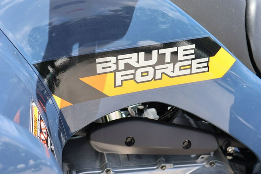 2026 Kawasaki Brute Force 300