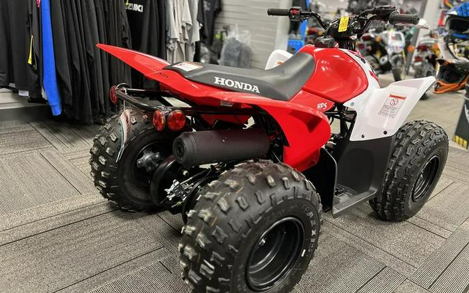 2023 Honda® TRX90X