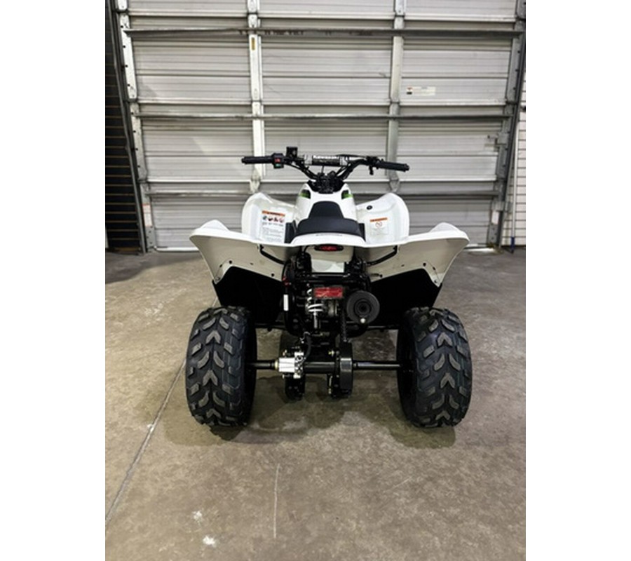 2026 Kawasaki KFX 50
