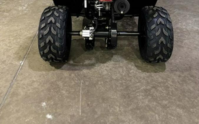 2026 Kawasaki KFX 50