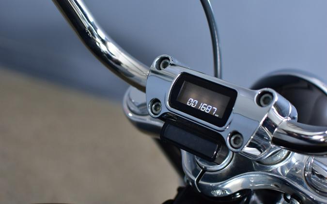 2022 Harley-Davidson Softail Standard