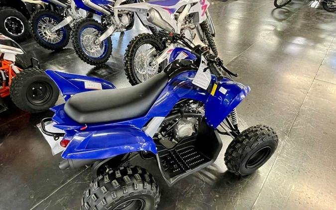 2024 Yamaha Raptor 110