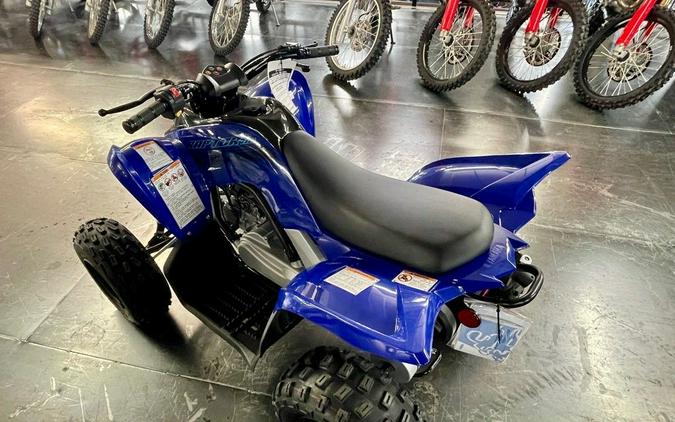 2024 Yamaha Raptor 110