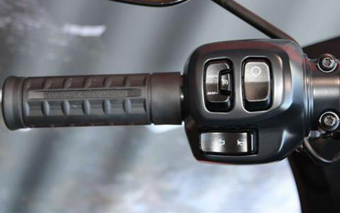 2025 Harley-Davidson Low Rider® ST