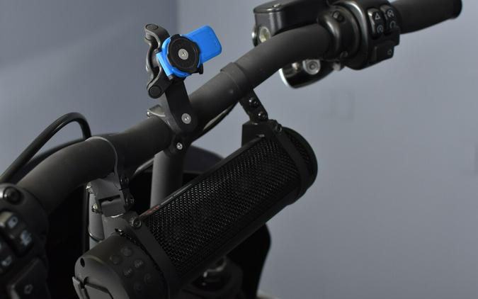 2022 Harley-Davidson Fat Bob 114