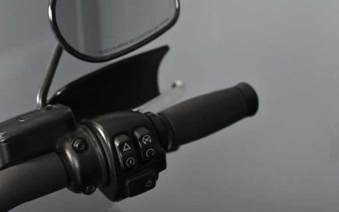 2022 Harley-Davidson Fat Bob 114