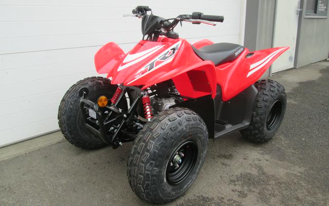 2026 TRX90X - Honda