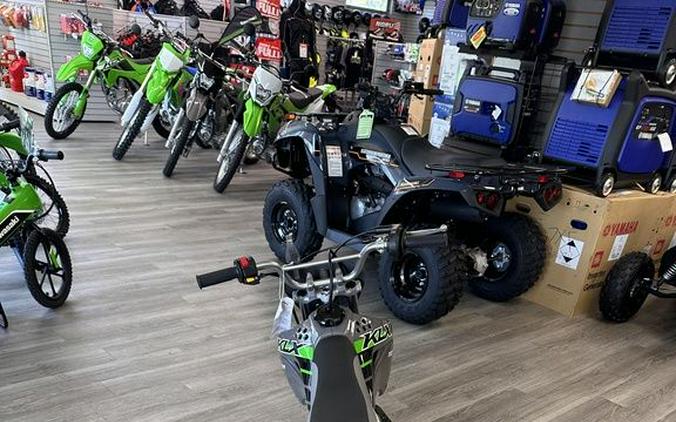 2025 Kawasaki KLX®110R