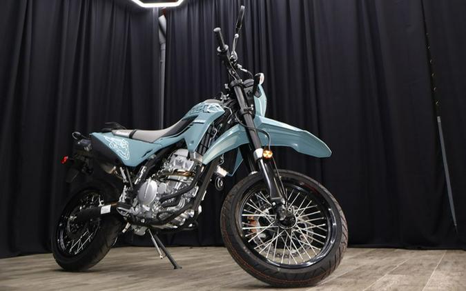 2024 Kawasaki KLX300SM