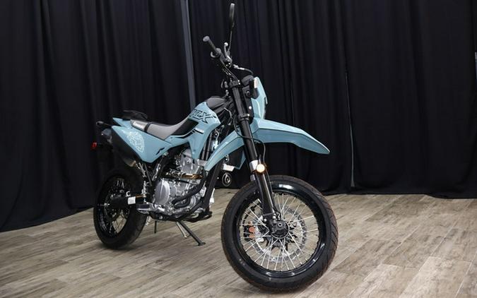 2024 Kawasaki KLX300 and KLX300SM First Look [8 Fast Facts]