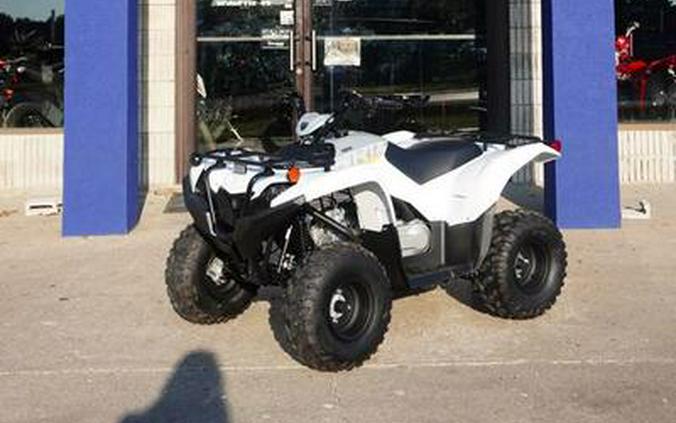 2024 Yamaha Grizzly 90