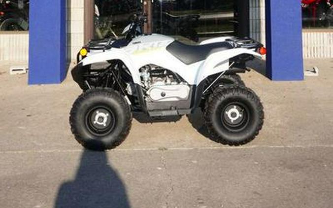 2024 Yamaha Grizzly 90