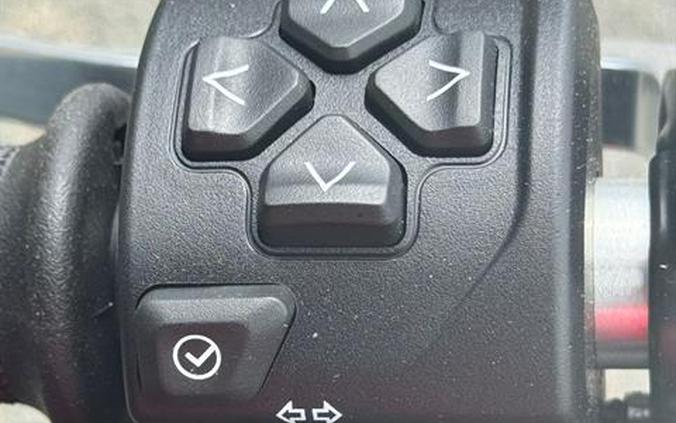 2025 Triumph Daytona 660