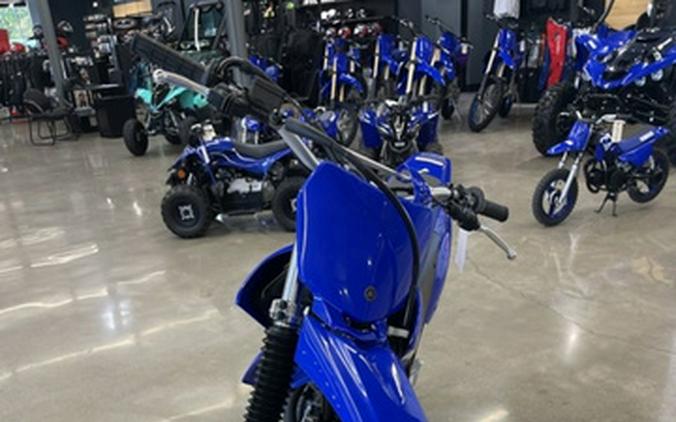 2025 Yamaha TT-R 230