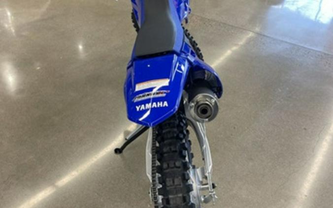 2025 Yamaha TT-R 230