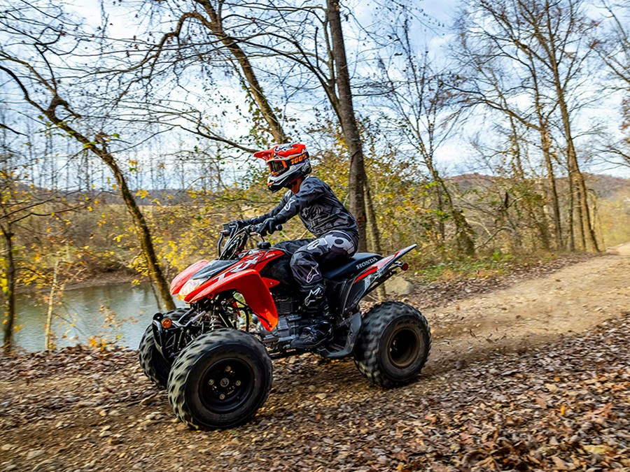 2024 Honda TRX 250X