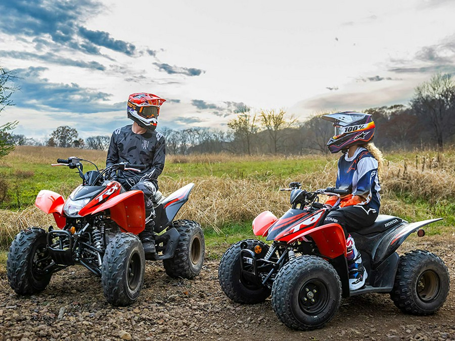 2024 Honda TRX 250X