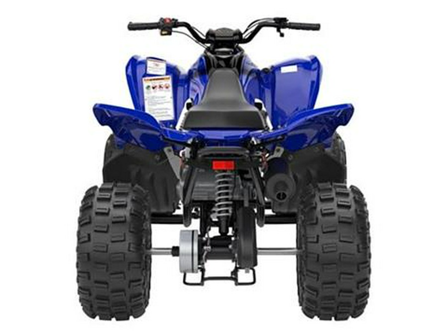 2025 Yamaha Raptor 110