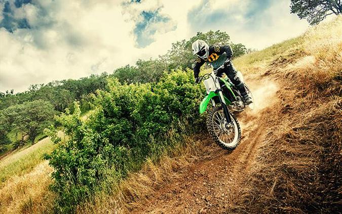 2020 Kawasaki KLX® 300R