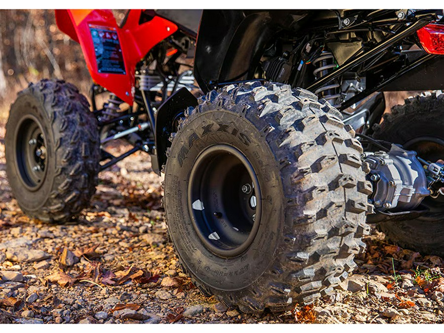 2024 Honda TRX 250X